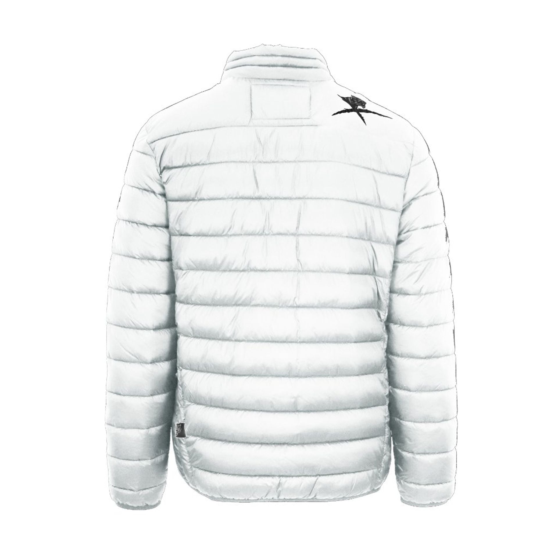 Plein Sport Jackets